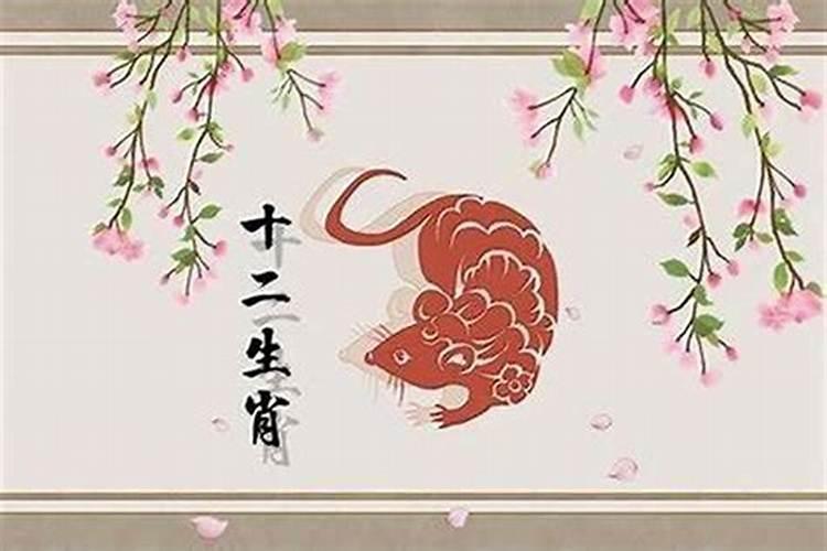属鼠人2027年农历运势如何？