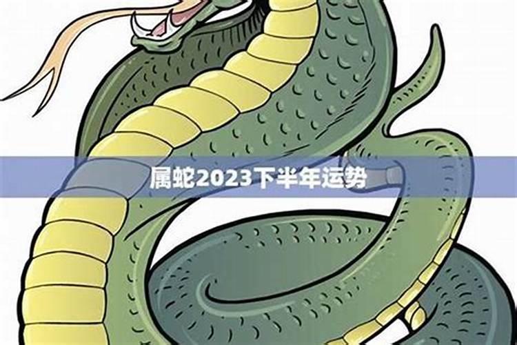 2027属性蛇下半年运势