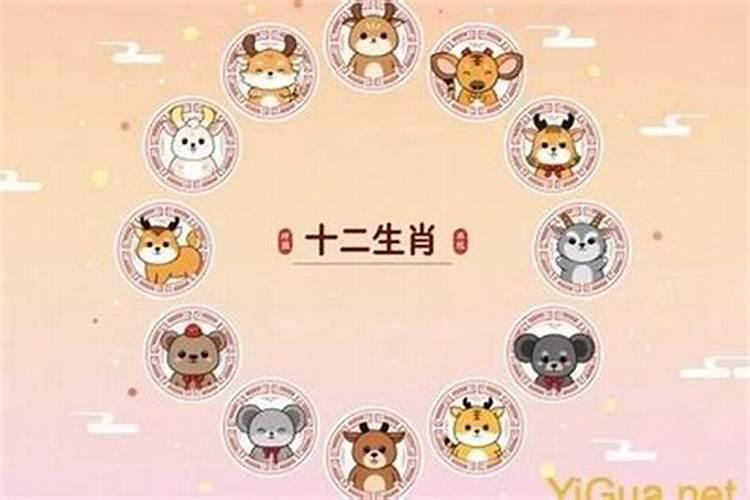 属相不合婚姻会幸福吗？