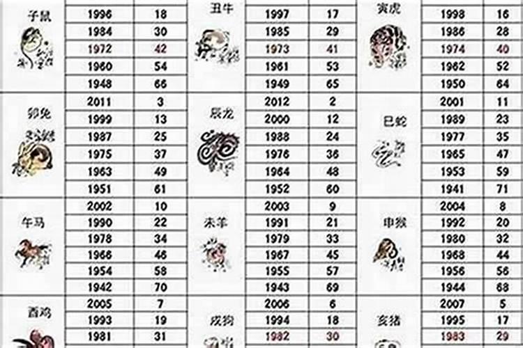 属猪的人8月运程怎样？