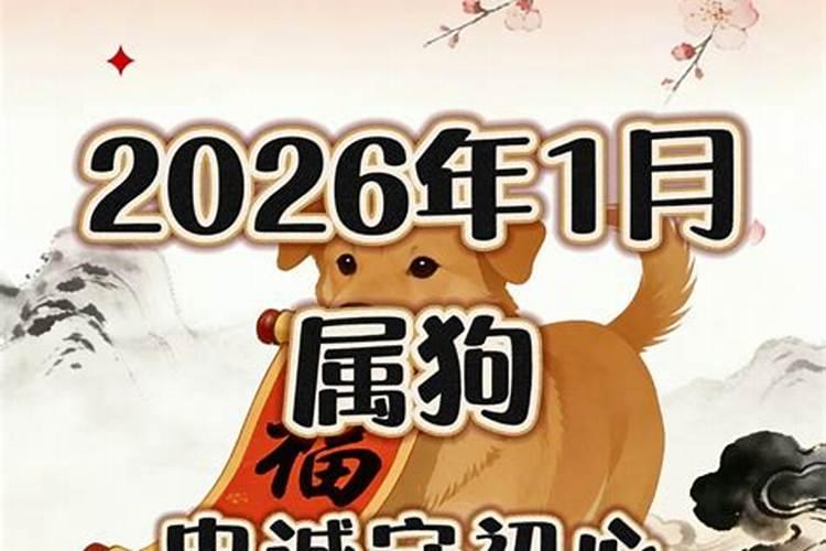 2027年生肖狗2月运势如何？