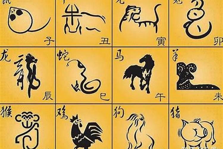 属相婚配虎的和鸡的还好吗？