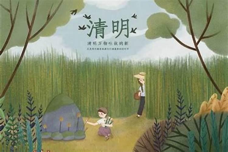 清明节一般在4月几号？