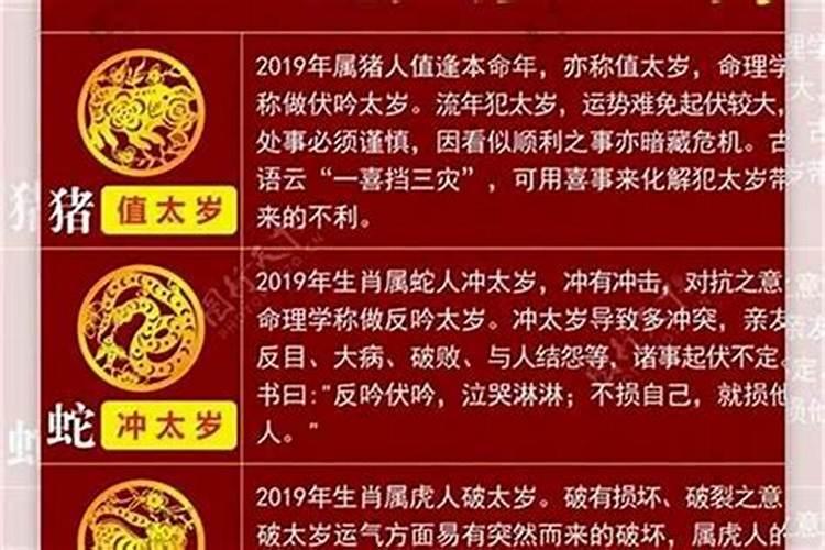 刑太岁害太岁怎么应对？