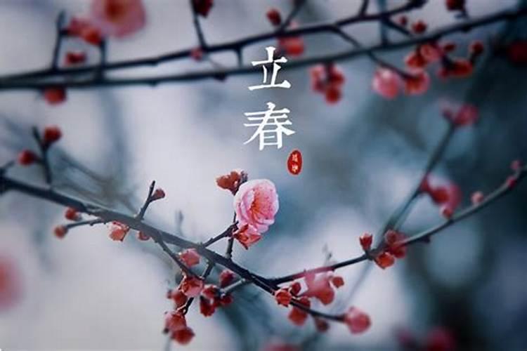 立春前几天是春节？