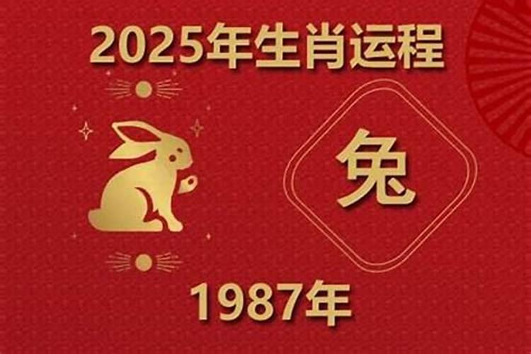 1987年属兔2027年的事业运势