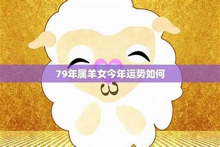 属羊的今年5月份的运程如何？