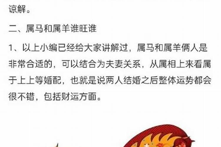 属马的跟属猪的合婚吗？