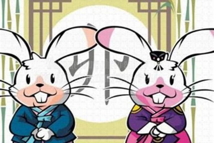 属兔的女生和属什么的男生最合适？