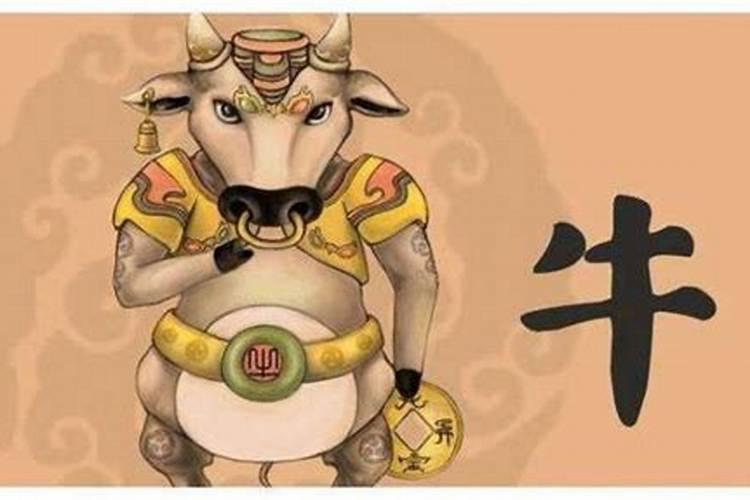 2027年73年属牛运程如何好？