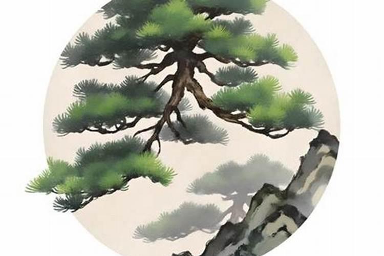 松柏木和什么命合婚？