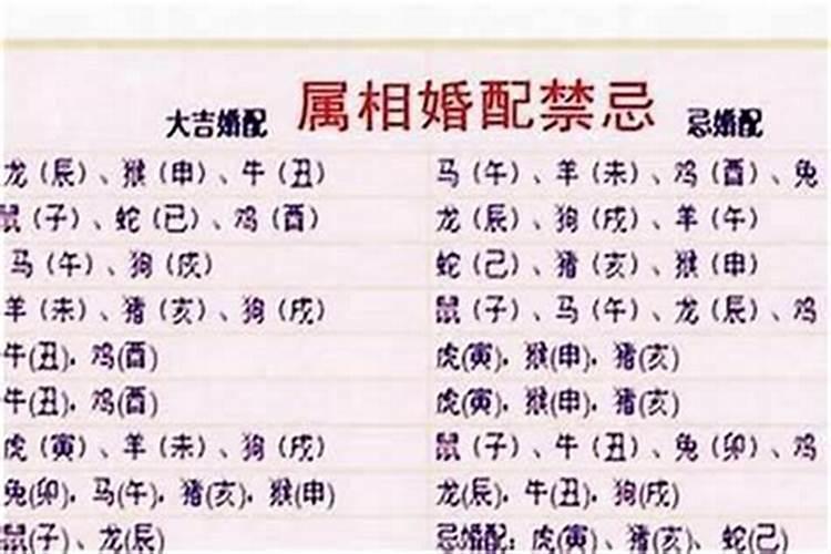 女兔和男虎的属相能婚配吗？