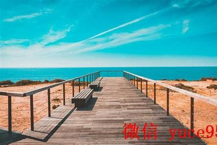 梦见姑爷了是咋回事