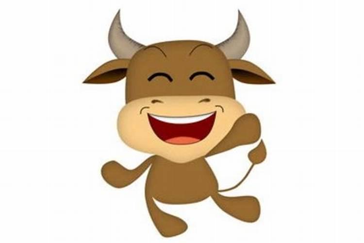 牛人今年运势怎样化解？