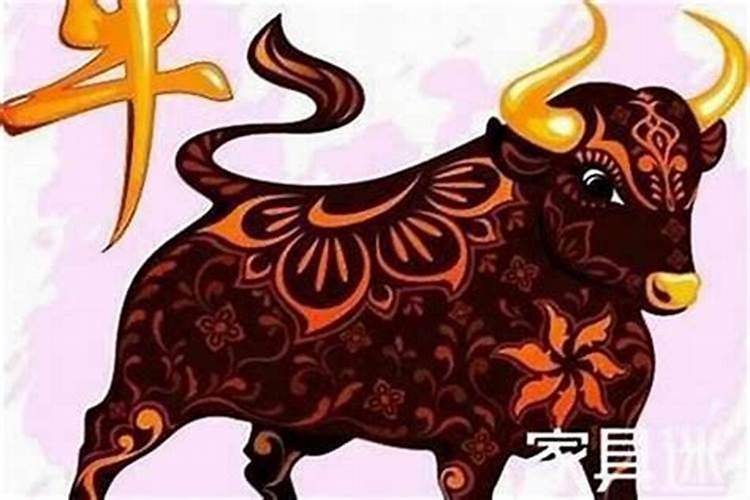本命年有财运怎么样属牛？