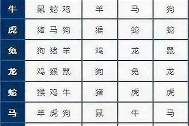 男鼠与什么属相女婚配好？