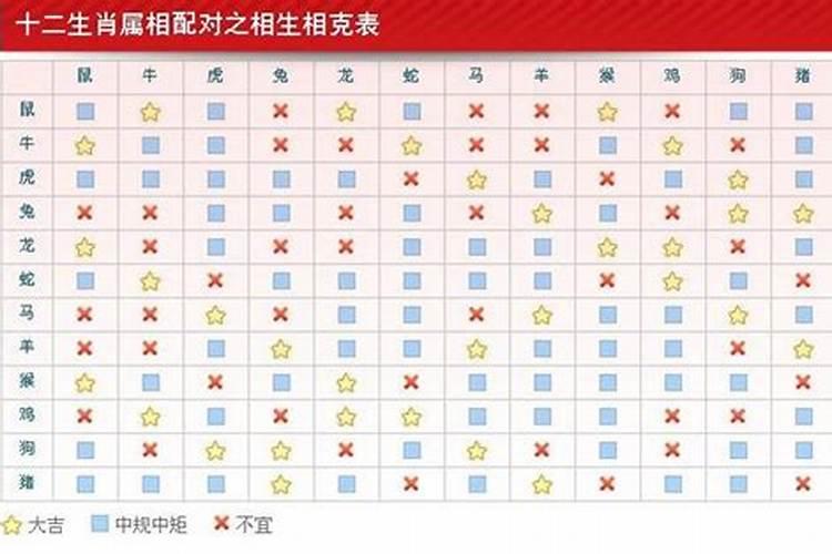 属相婚配什么生肖？