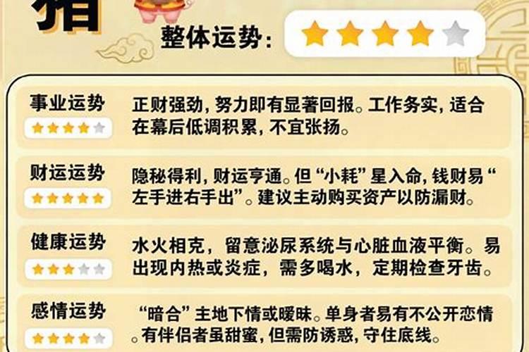 属猪6月份运势怎么样？