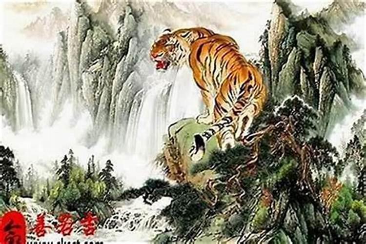 属虎人破太岁怎么化解？
