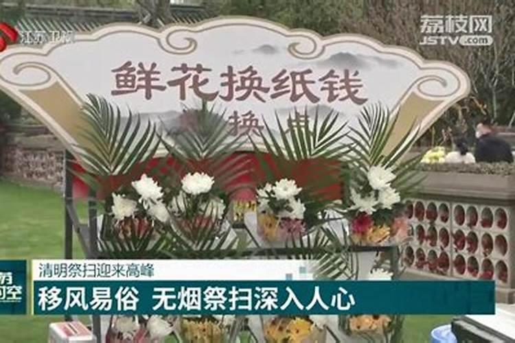 墓园清明祭扫