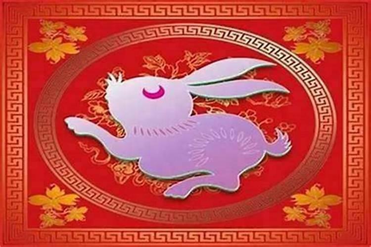 属兔的男人适合本命年结婚吗？