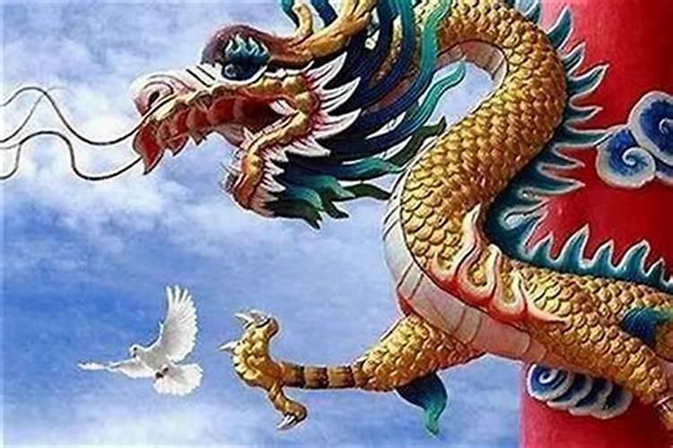 龙和兔的八字合吗？