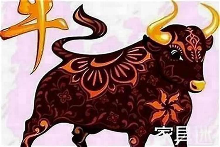 属牛的本命年要注意些什么？
