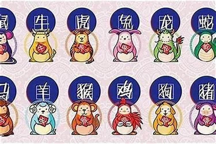 12月鸡属什么生肖运势如何？
