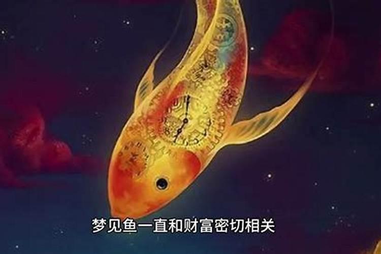 梦见鱼咬鱼是什么意思？