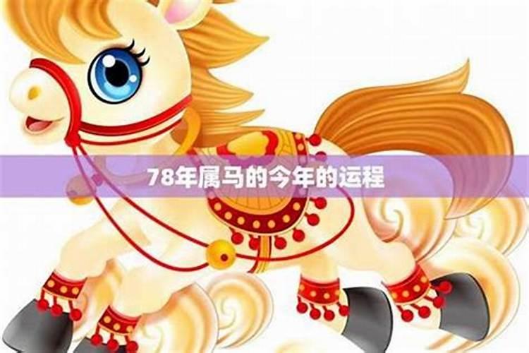 78年属男马2027年运势