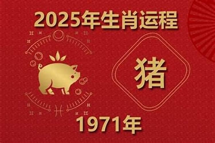 71年属猪一生运势