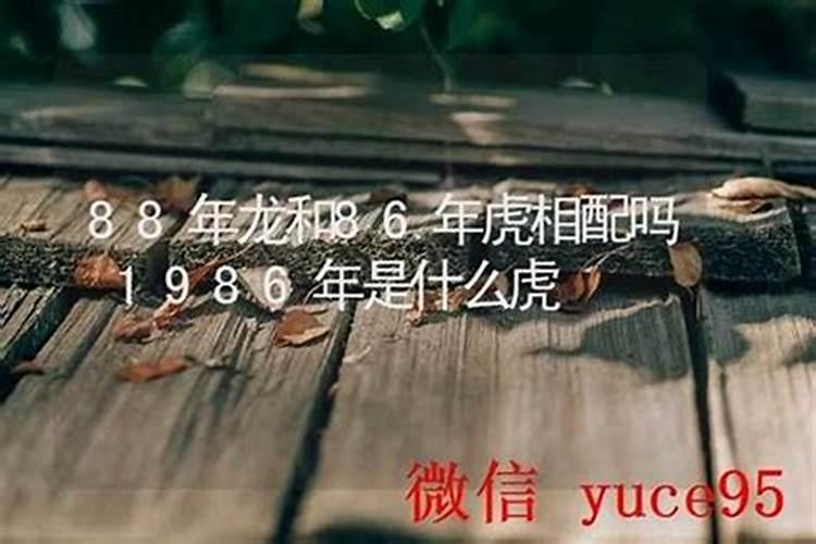 79年和86年的合婚吗？