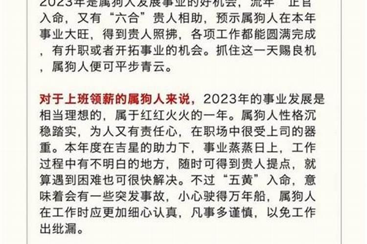 82年属狗人的运势和一生劫难