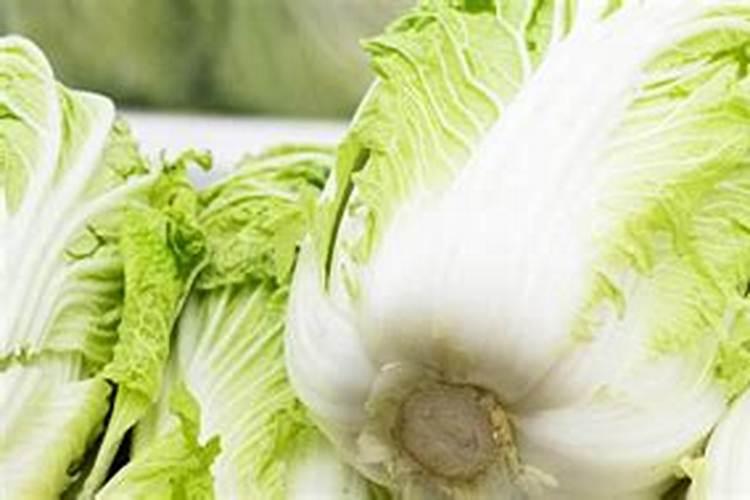 梦到大白菜是什么意思？