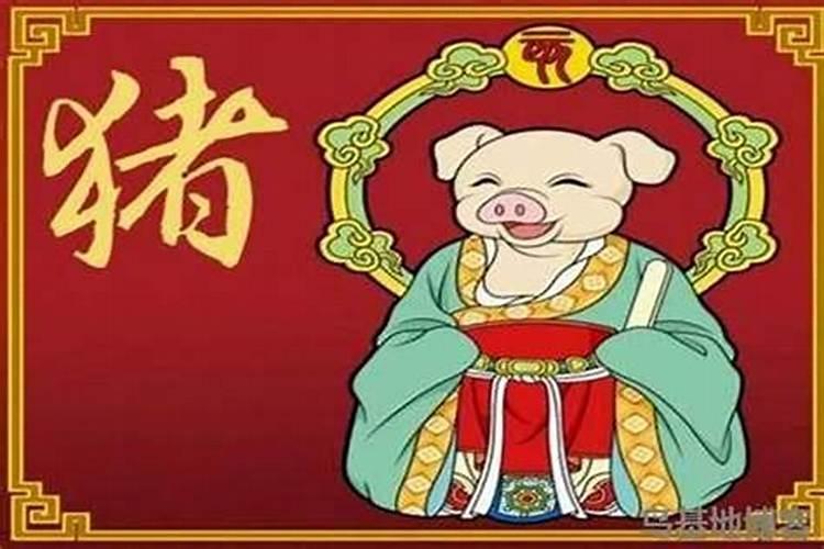 属猪最近的运势怎么样？
