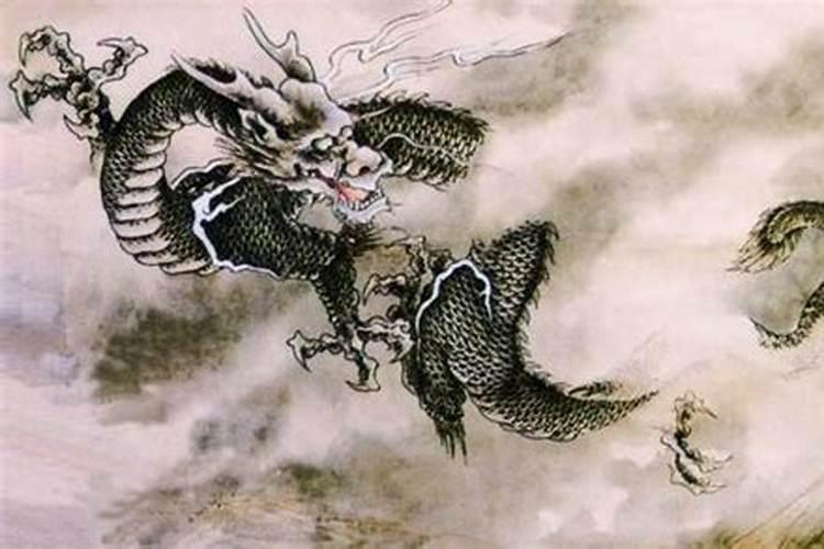 十二生肖之龙一生运势