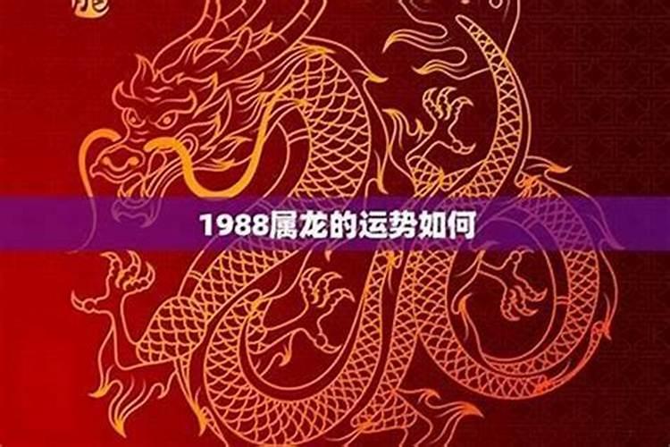1988年出生的男人2027年运程