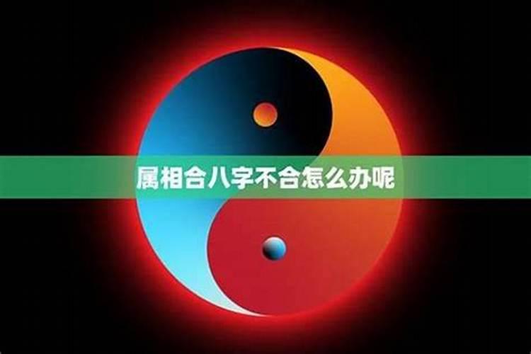 解除八字不合的物品