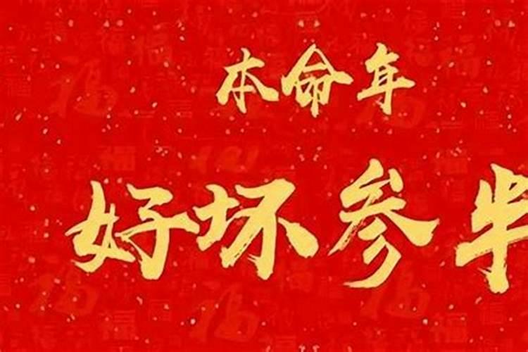 本命年适合领证的日期