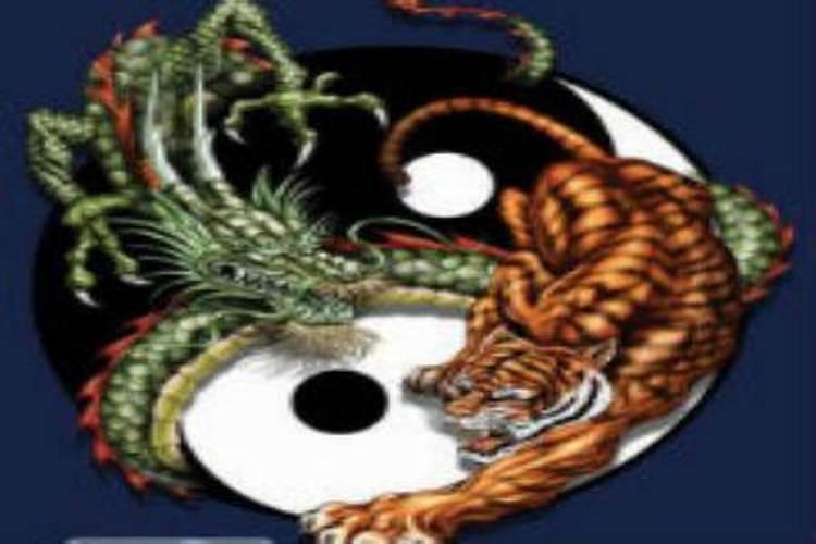 龙虎属相婚配合财吗？
