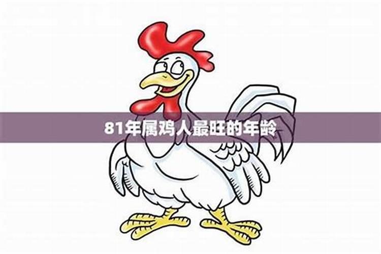 81年属鸡的犯小人怎么办？