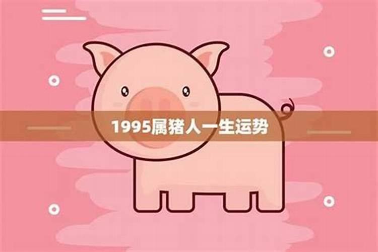 属猪1995年一生运势