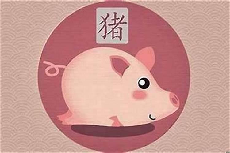 属猪的正月12生2027年运程