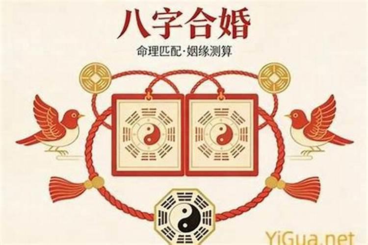 怎么看八字合婚日支相合？