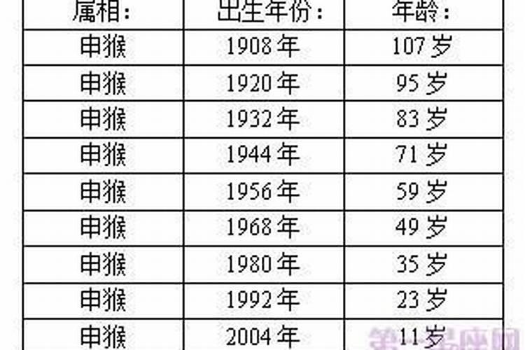 属猴多大？