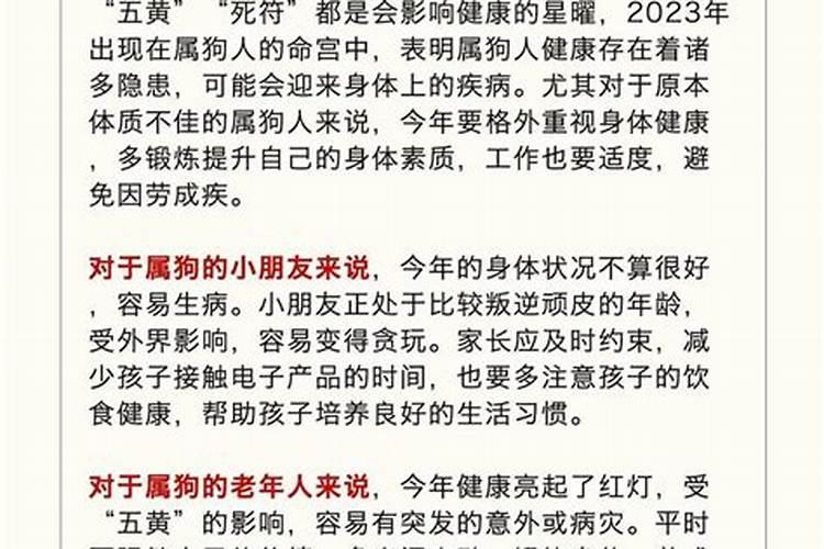 金狗今年运势怎么样？