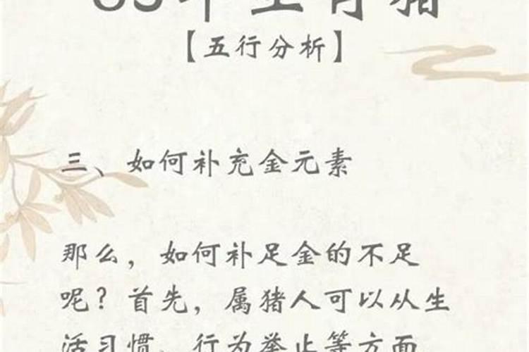 1959年属猪人的运程如何？