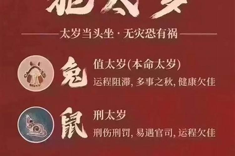 兔刑太岁带什么最好？