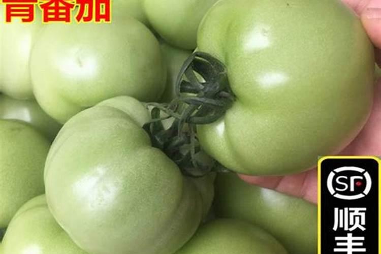 梦见特别多的青西红柿？