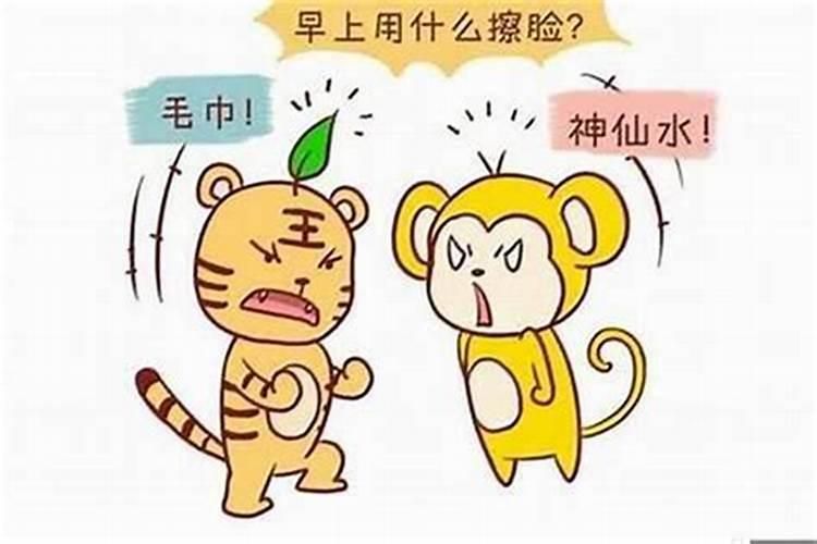 男属猪女属虎的八字合不合